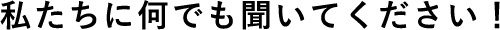 私たちに何でも聞いてください!